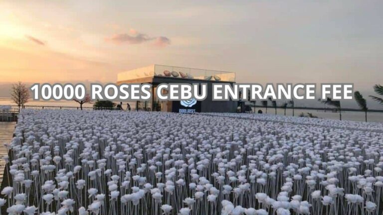 10000 Roses Cebu Entrance Fee Cover