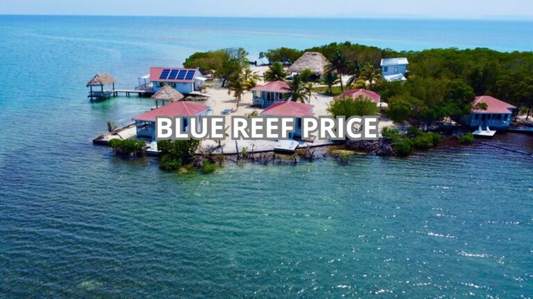 Blue Reef Price Cover
