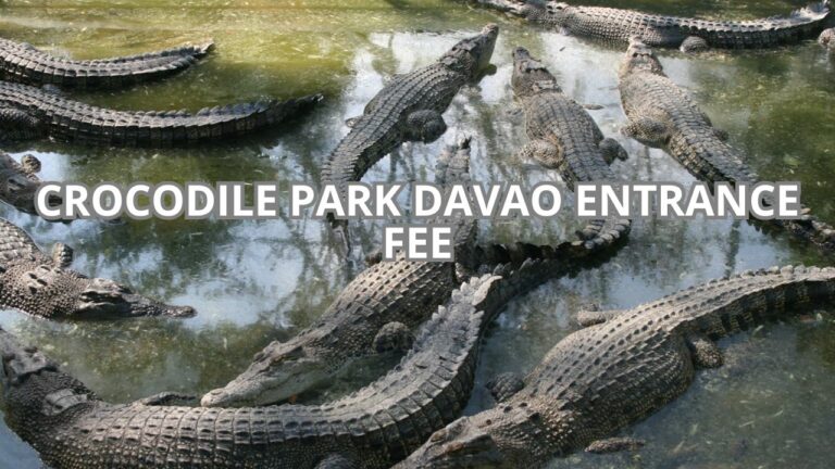 Crocodile Park Davao Entrance Fee Cover