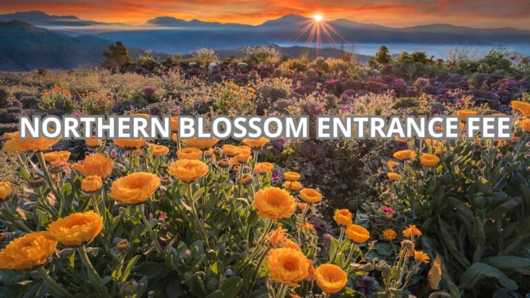 Northern Blossom Entrance Fee Cover