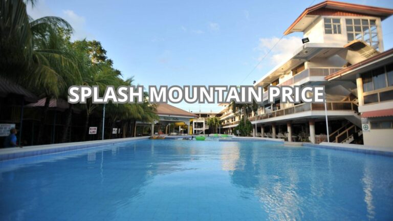 Splash Mountain Price Cover