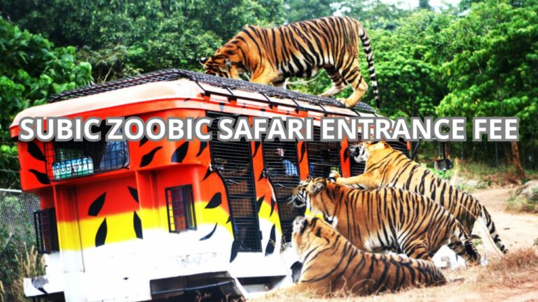 Subic Zoobic Safari Entrance Fee Cover